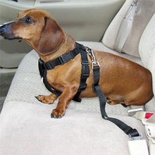 Dog Car Safety Seat Belt