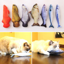 Cat Simulation Fish