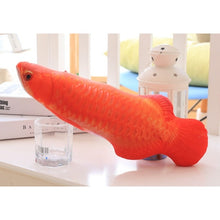 Cat Simulation Fish