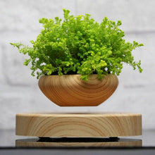 Magnetic Suspended Plant