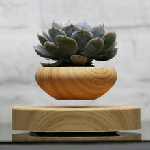 Magnetic Suspended Plant