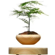 Magnetic Suspended Plant